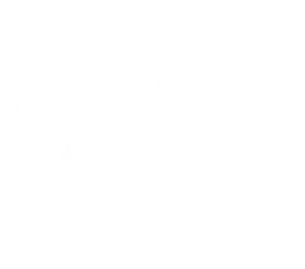 MotoGP